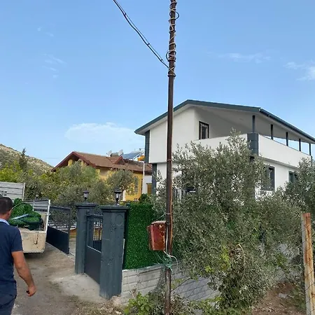 Asil Villa