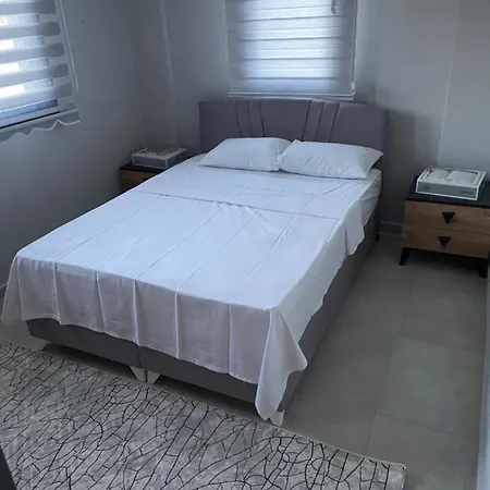 Asil Villa *